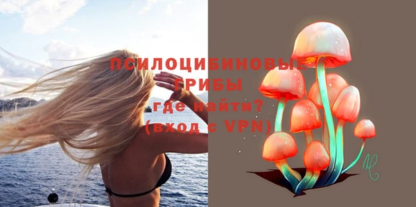 крисы Алексин