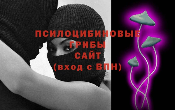прущие крисы Зеленодольск