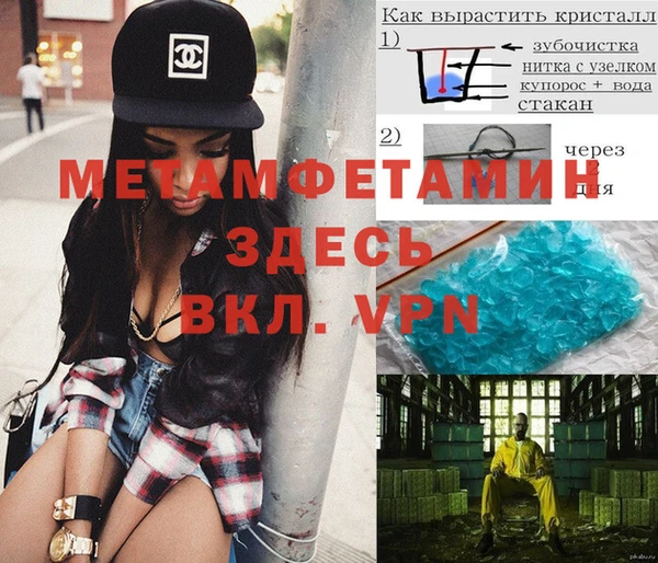 крисы Алексин