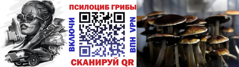 ОМГ ОМГ ONION  Апрелевка  Галлюциногенные грибы Psilocybine cubensis 